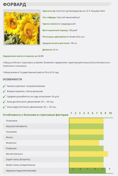 Форвард подсолнечник