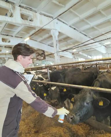 🌾 Искусство кормления: ключевой фактор здорового потомства 🌾