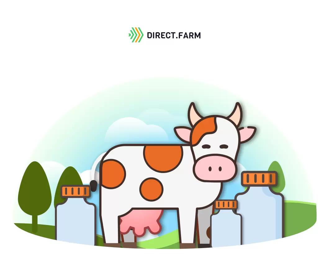 Как лечить эндометрит у коров?