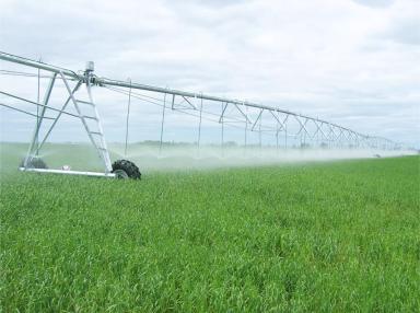 В решении каких вопросов поможет вам компания "ИнтерАгроСнаб"?