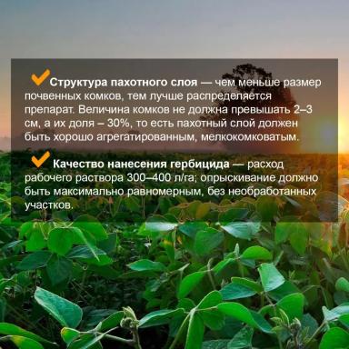🌱 Продолжаем заботиться о будущем урожае сои.