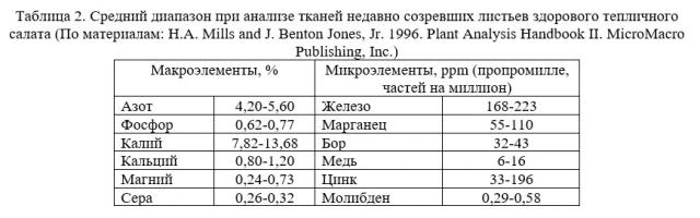 Признаки дефицита элементов питания у салата на гидропонике