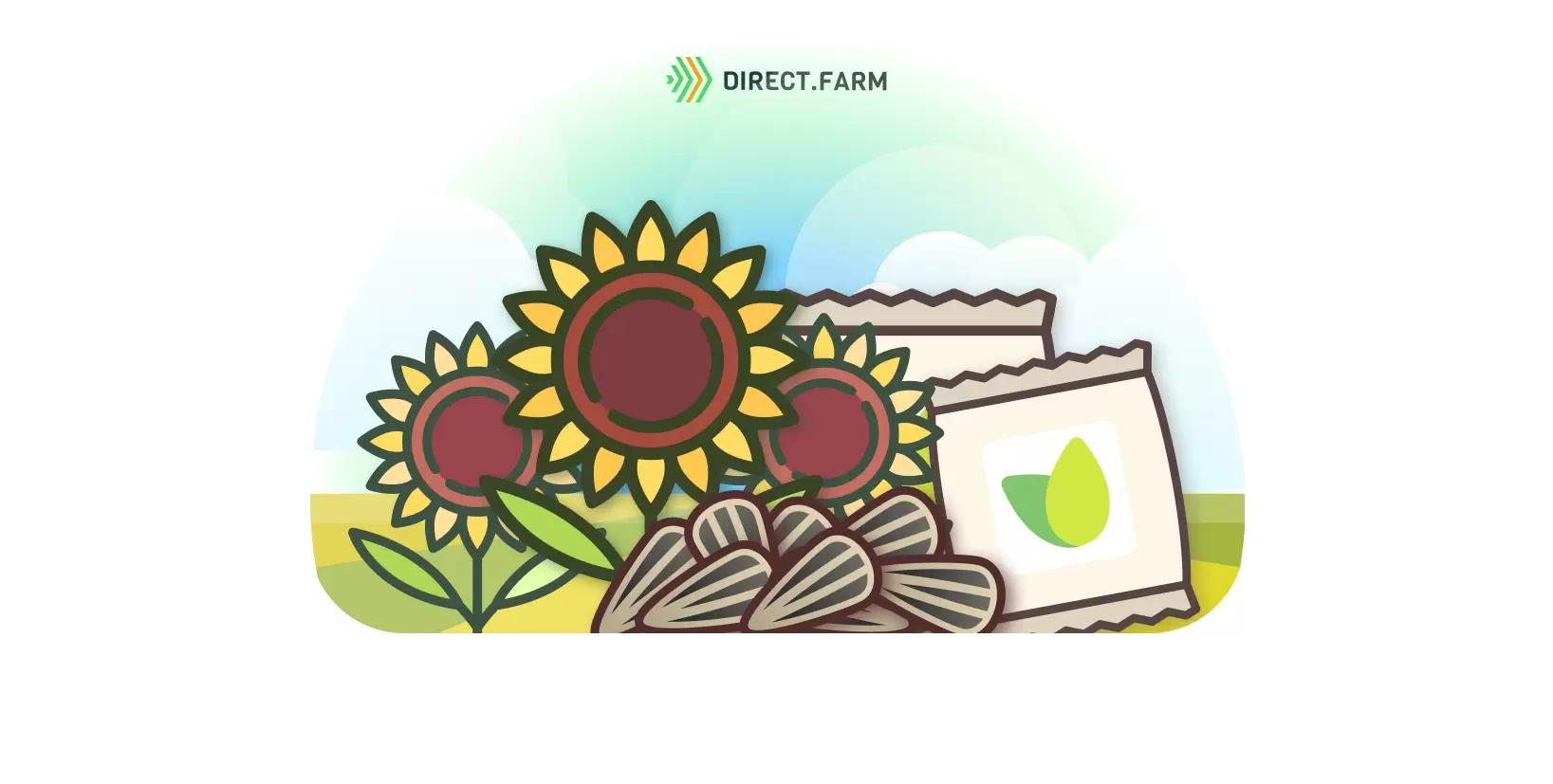 Новые сорта и гибриды подсолнечника ФНЦ ВНИИМК