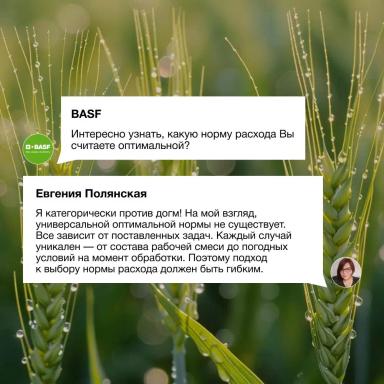 Процесс опрыскивания как часть прибыльного земледелия