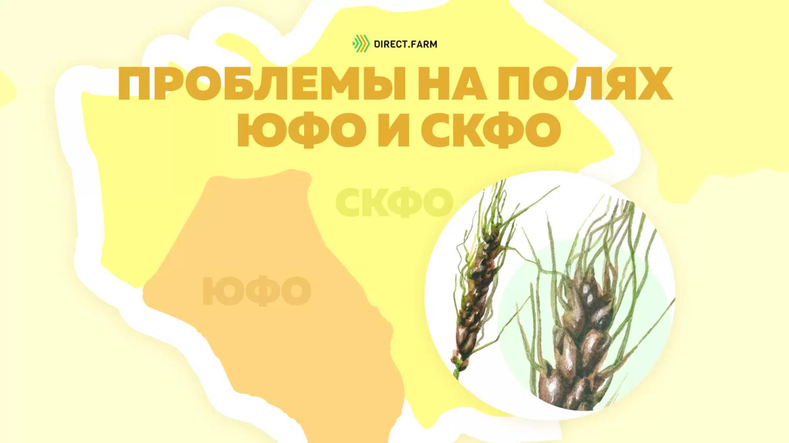 Угроза: Пыльная головня ячменя