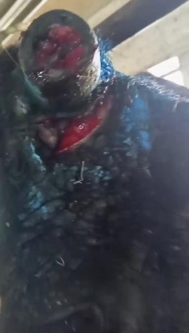 Обезвоживание.