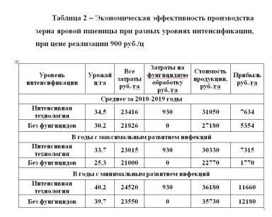 Экономическая эффективность применения фунгицидов на яровой пшенице.