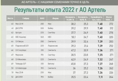 Алгоритм выбора гибрида кукурузы