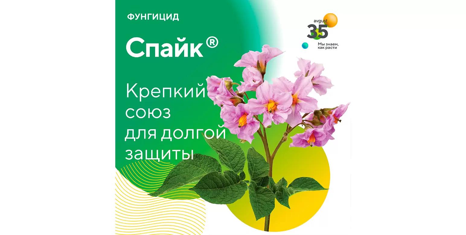 Спайк® – новый фунгицид для защиты овощных культур и картофеля