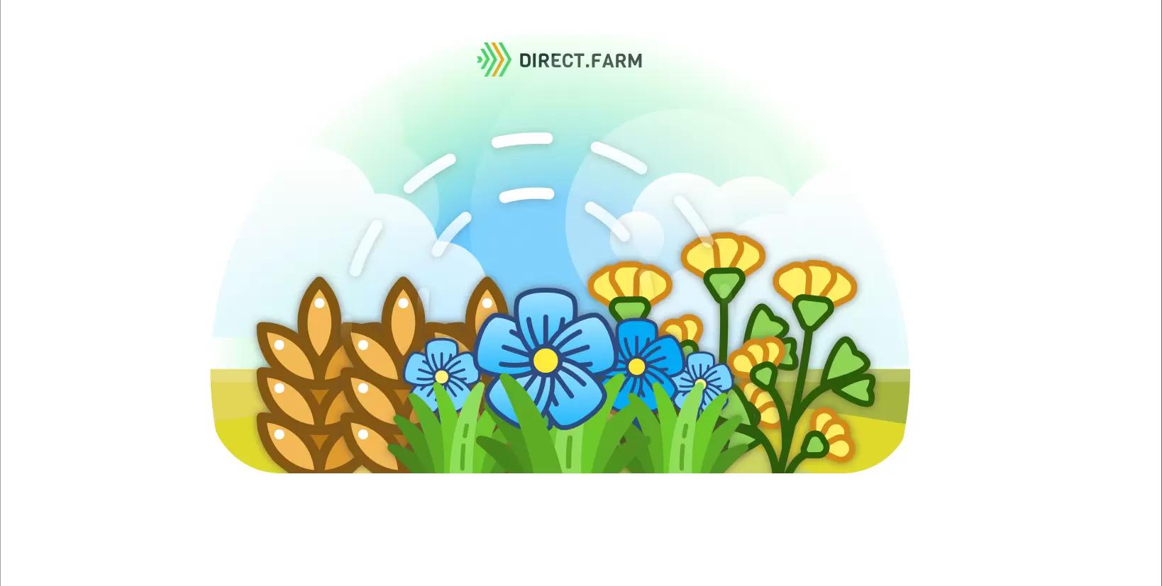 Как правильно составить севооборот?