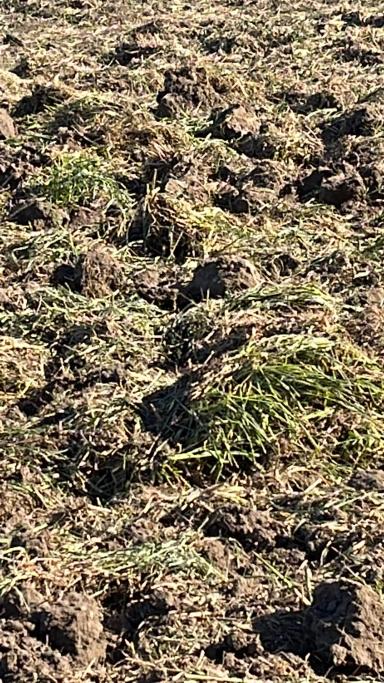 Глубокорыхлитель 