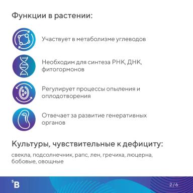 Элементарно об элементах: бор