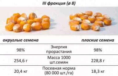 Калибровка семян кукурузы влияет на урожай