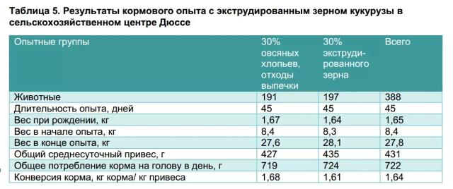 Кормление свиней рационами с кукурузой