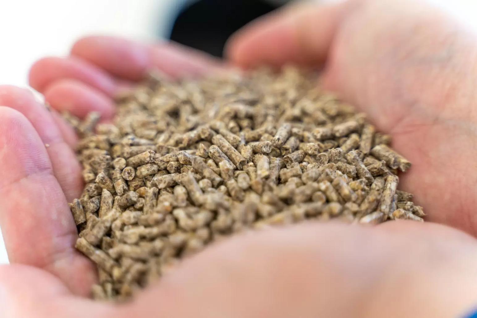 Набережночелнинский элеватор АГРОСИЛЫ: рост объемов производства комбикормов