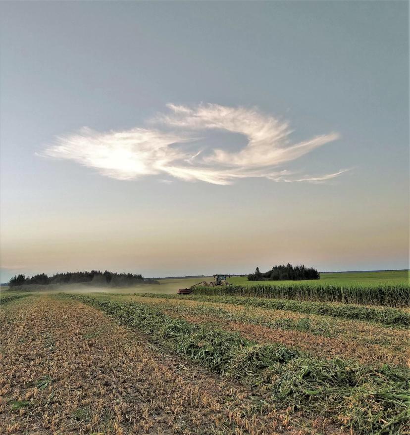 НОВОСТИ С ПОЛЕЙ: Когда в небесной канцелярии тоже заинтересовались новой машиной