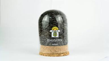 Арис - гибрид подсолнечника (Helianthus annuus L.) .