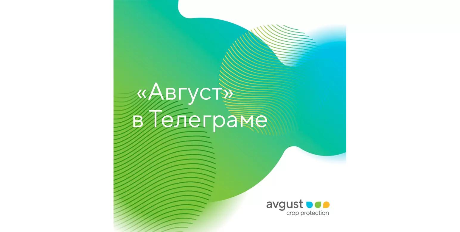 «Август» в соцсетях!