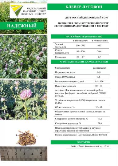 Надежный