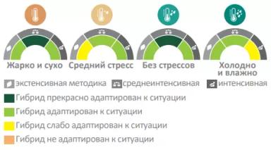 ЕС Новамис СЛ