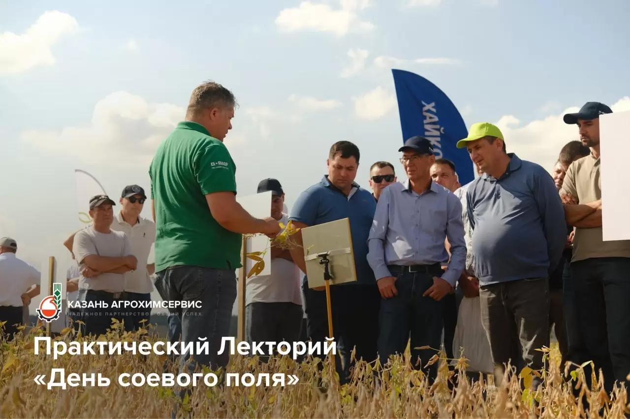 День соевого поля 🌱