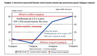 Какой твердый корм быстрее превращает теленка в жвачное животное?