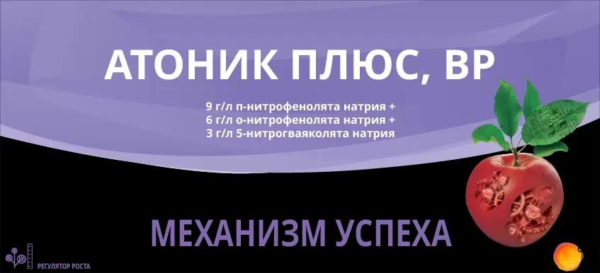 АТОНИК ПЛЮС, ВР - Механизм успеха! 