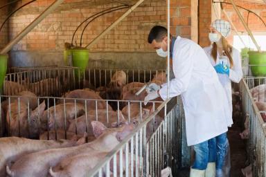 Обзор новостей за 3 марта