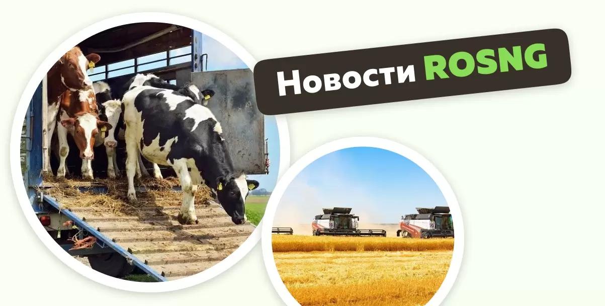 Обзор новостей за 16 апреля