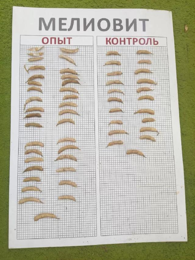 соя обзор одного поля