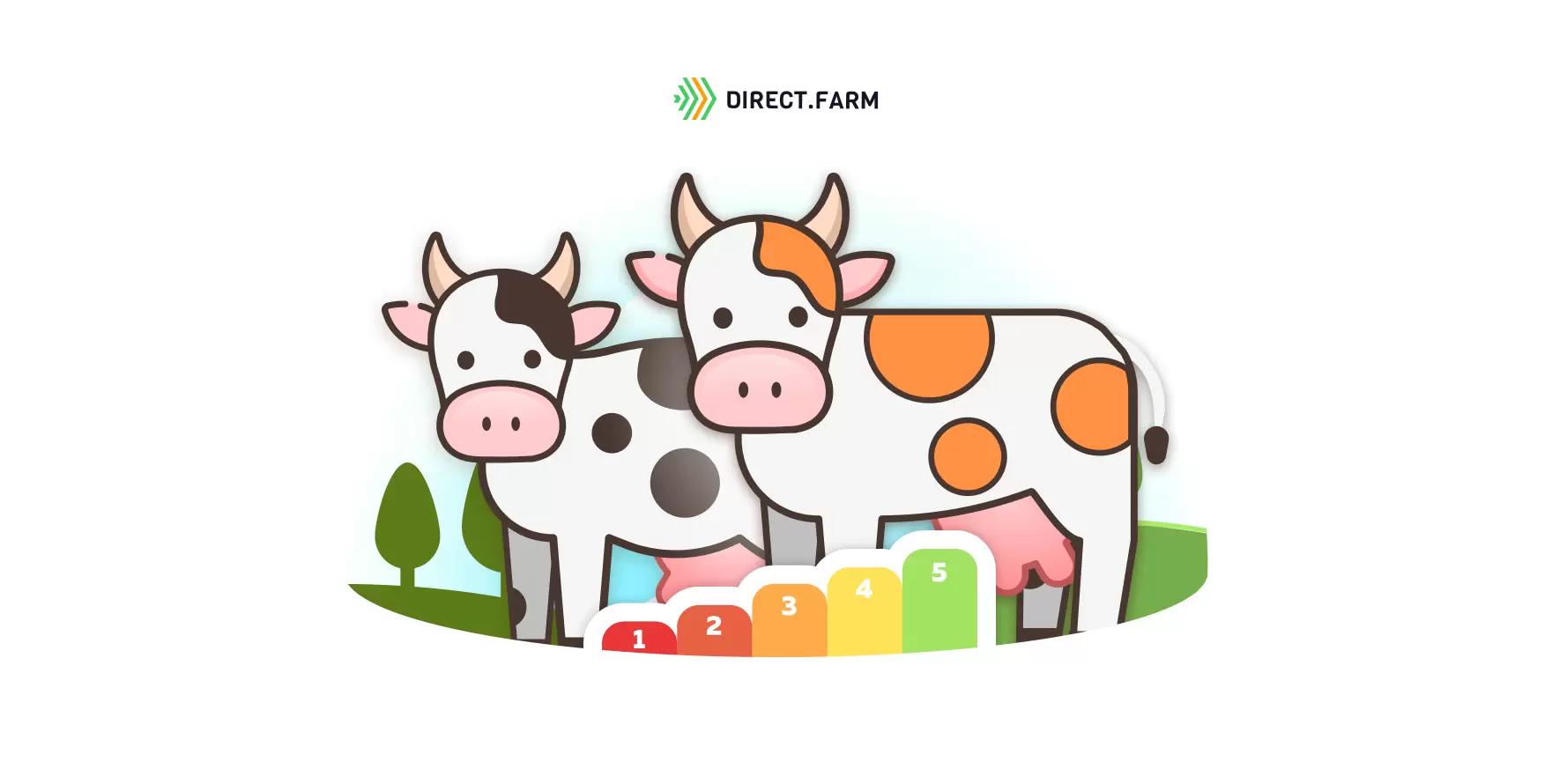 Балльная оценка наполненности рубца