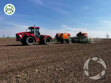 Посевная кампания ярового гороха!