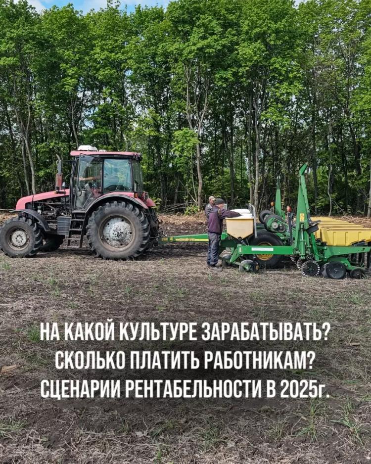 НА КАКОЙ КУЛЬТУРЕ ЗАРАБАТЫВАТЬ, СКОЛЬКО ПЛАТИТЬ РАБОТНИКАМ