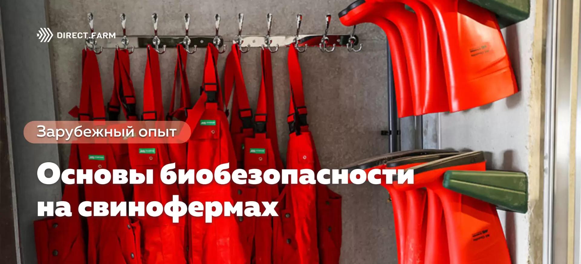 Основы биобезопасности на свинофермах