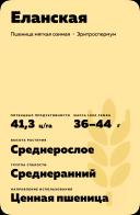 Еланская сорт мягкой озимой пшеницы