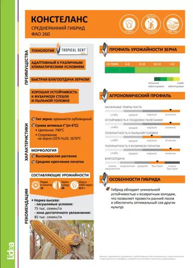 ЕС Констеланс - гибрид кукурузы ( Zea mays L.).