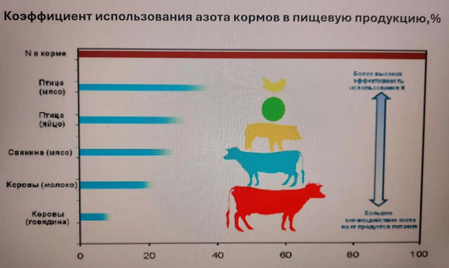 Куриный помет – сохранение удобрительных качеств