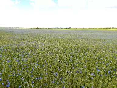 "Как создать красоту"
