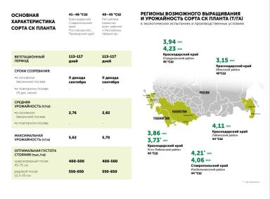 СК Планта сорт сои