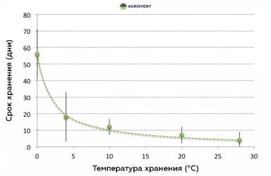 Как продлить срок хранения капусты?
