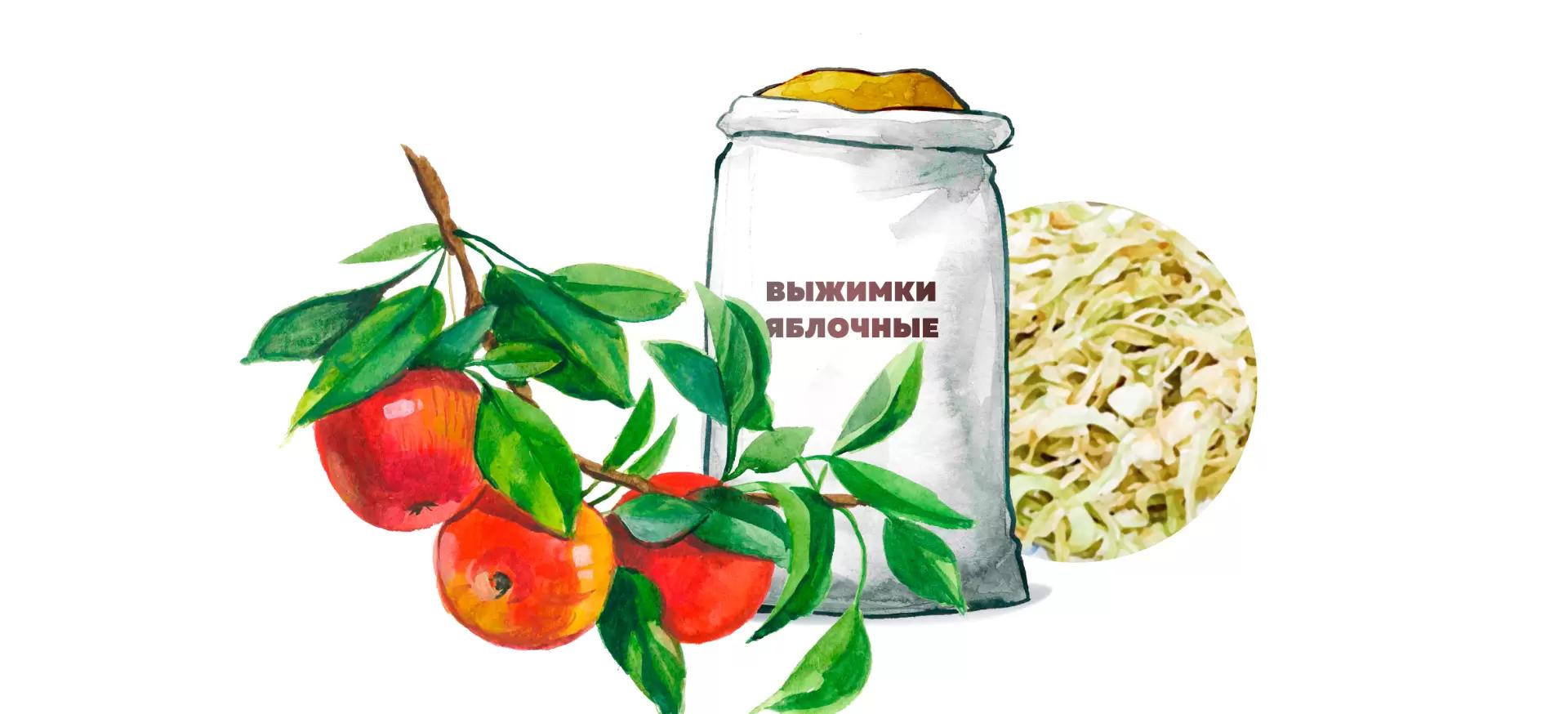 Выжимки яблочные