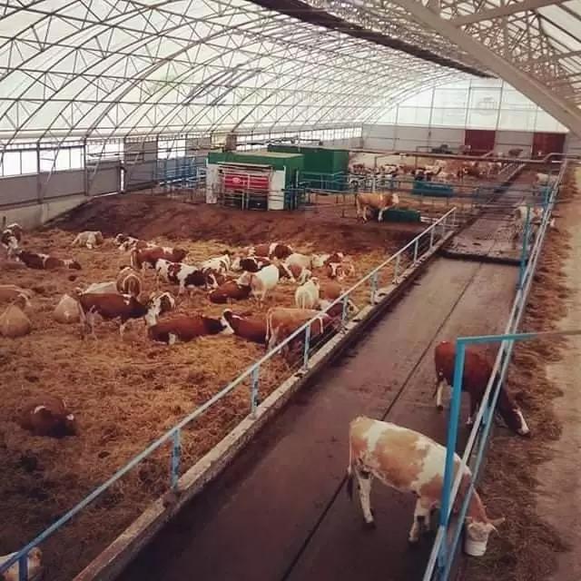 Продаётся ферма КРС с роботами lely.