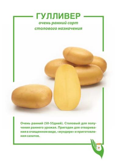 Гулливер картофель