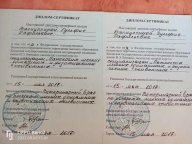 Резюме: Люблю животных