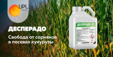 Свобода от сорняков в посевах кукурузы