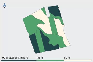 Дифвнесение удобрений на озимой пшенице: стоит пробовать?