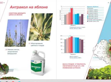 Антракол в защите яблони от парши
