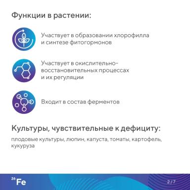 «Элементарно об элементах!»: железо