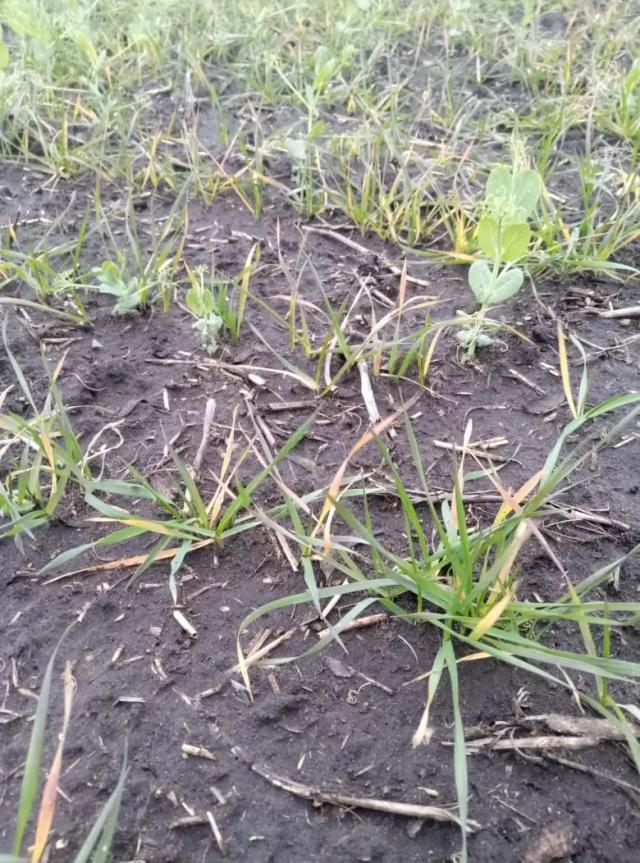 Вопросы из чатов: что планировать на весну?