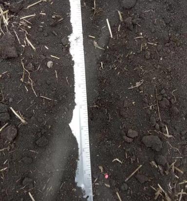 Линейка для агронома